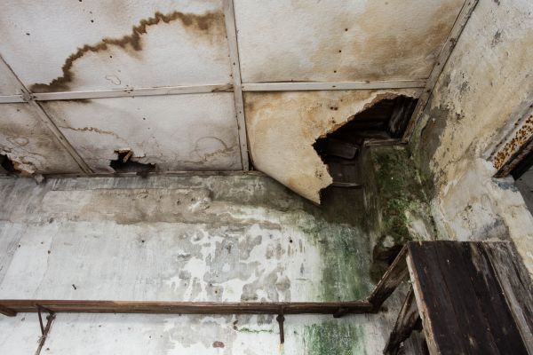Water Damage Service in West Palm Beach