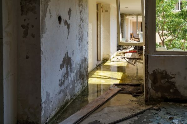 Cost of Water Removal Service in West Palm Beach